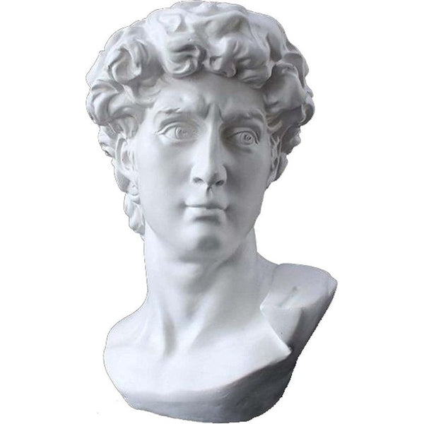David Head, gedeeltelijke replica van het volledige standbeeld van Michelangelo's David