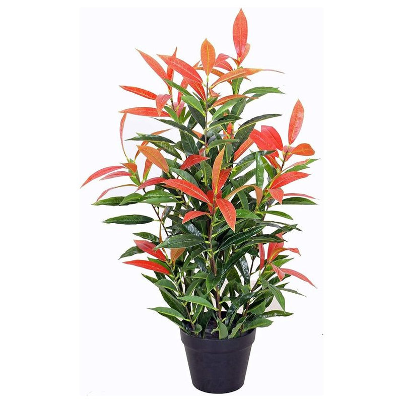 Kunstmispel PHOTINIA met pot ca. 80 cm hoog kunstplanten kunstplanten kunstboom boom bloemdecoratie cadeau