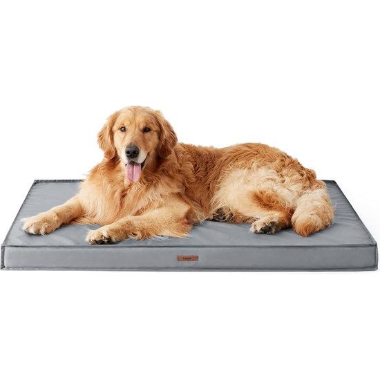 Orthopedisch hondenbed voor grote honden, 112 x 81 x 7,6 cm, hondenbed, wasbaar met duurzame hoezen en eiervormige schuimvulling, orthopedisch hondenkussen, outdoor, grijs