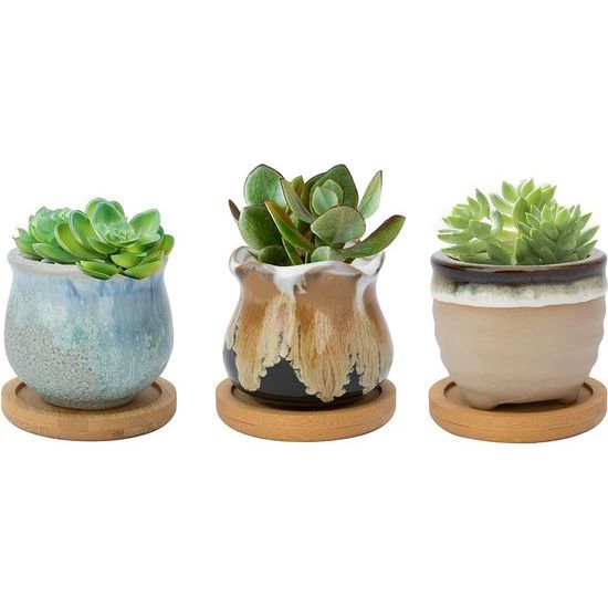 6,5 cm keramische vetplantenpot, cactusplantenbakken voor binnenplanten, kleine bloempot met afvoergaten en bamboe plaat, vloeiend glazuur, set van 3