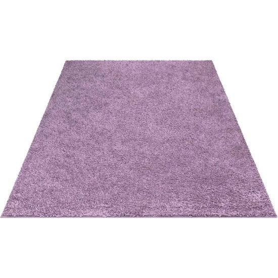 Shaggy hoogpolig vloerkleed – 150 x 150 cm vierkant – paars – hoogpolig vloerkleed voor de woonkamer – effen modern – pluizig zachte vloerkleden slaapkamerdecoratie