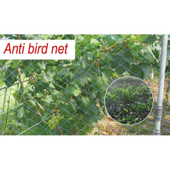 Vogelbeschermingsnet, Kippennet, Vijvernet ,Vogelnet (maaswijdte 2 cm of 3 cm), Pluimveenet, Tuinnet, Zwembadnet voor tuin, balkon of vijver, kersenboom, robuust UV-bestendig