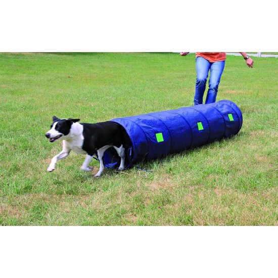 Hondenactiviteit Agility Tunnel Diameter 40 cm / 2 m Blauw
