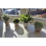 Pakket van 4 kunstplanten, mini-kunstplanten, plastic kunstplanten voor slaapkamer, badkamer, keuken, huis, interieurdecoratie