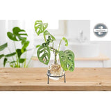 Hydrovaas Flora 1,5 l | bloemenvaas met metalen standaard | tafelplanter | moderne decoratie | glazen propagatiestation