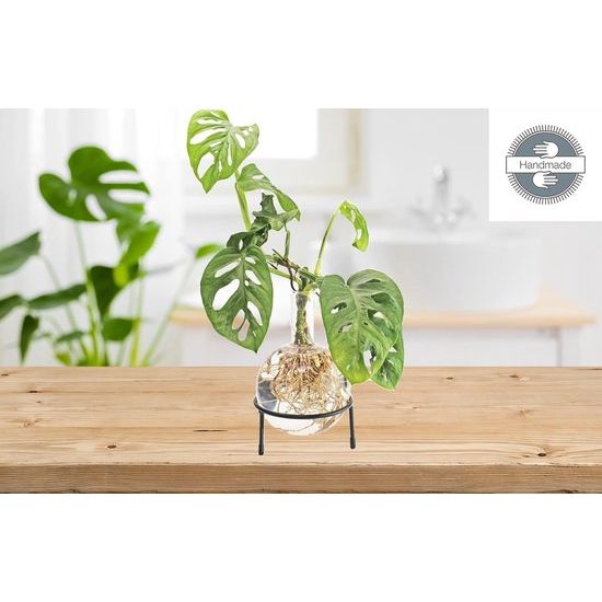 Hydrovaas Flora 1,5 l | bloemenvaas met metalen standaard | tafelplanter | moderne decoratie | glazen propagatiestation