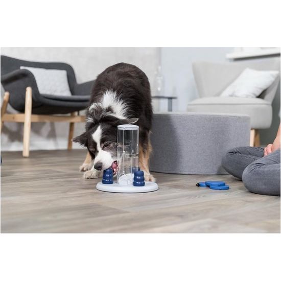 Dog Activity Strategische spellen voor honden