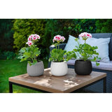 Bloempotafdekking Effen bloempotafdekking Decoratieve pot voor planten voor binnengebruik Gemaakt van keramiek, modern en tijdloos design, vele kleuren, vele maten, 16 cm, zwart