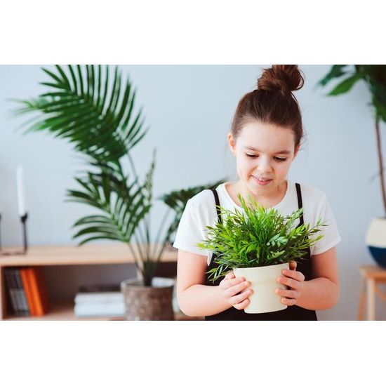 Gieter 2 L Roze Bloemenkan Kunststof