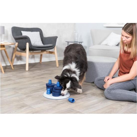 Hond Activiteit Intelligentiepaneel Bloementoren 30 x 30 x 13 cm