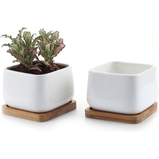 T4U 9,5CM Succulente Plantenpot Set van 2, Vierkant Keramiek Vetplant Bloempot met Bamboe Onderzetter, Binnen Klein Cactus Pot met Afvoergat Wit voor Sappige Aloë Kruid Decoratieve Geschenk