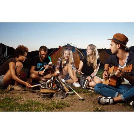 Barbecuespiesjes Telescopische Marshmallow Stick Broodsticks Braadsticks Kebab Spiesjes, Kampvuurspiesjes, Roestvrij staal Uitschuifbaar, Barbecuestokje, Barbecue Bestekset voor Campinggrill (8