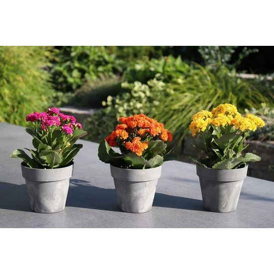 Bloempot Set 3 x 14 cm - donkergrijs - betonlook - kunststof potten