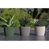 Bloempot, set van 3 x 14 cm, grijs, 30% houtgehalte, kunststof plantenpotten, plantenpot