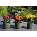 Bloempot, 6 x 10,8 cm, groen, 30% houtaandeel, kunststof plantenpotten, kruidenpotset