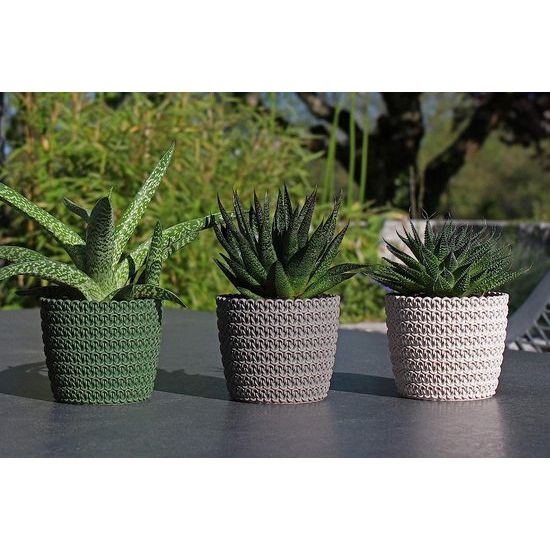 Bloempot, 6 x 10,8 cm, crème-wit, 30% houtgehalte, kunststof plantenpotten, kruidenpotset