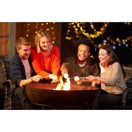 Barbecuespiesjes Telescopische Marshmallow Stick Broodsticks Braadsticks Kebab Spiesjes, Kampvuurspiesjes, Roestvrij staal Uitschuifbaar, Barbecuestokje, Barbecue Bestekset voor Campinggrill (8