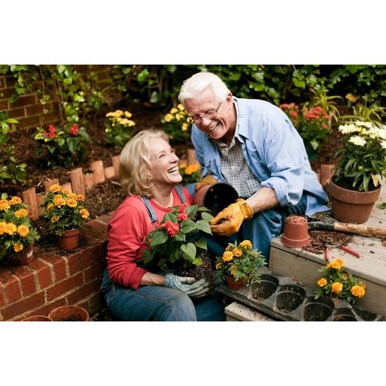 Gieter 2 L Roze Bloemenkan Kunststof