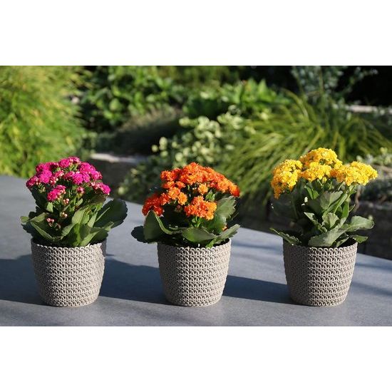 Bloempot, set van 3 x 14 cm, grijs, 30% houtgehalte, kunststof plantenpotten, plantenpot