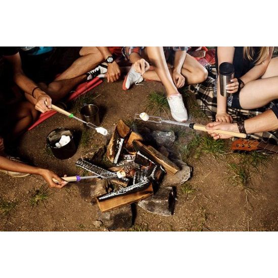 Barbecuespiesjes Telescopische Marshmallow Stick Broodsticks Braadsticks Kebab Spiesjes, Kampvuurspiesjes, Roestvrij staal Uitschuifbaar, Barbecuestokje, Barbecue Bestekset voor Campinggrill (8