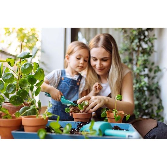 Gieter 2 L Roze Bloemenkan Kunststof