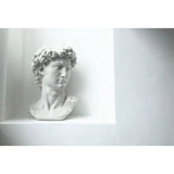 David Head, gedeeltelijke replica van het volledige standbeeld van Michelangelo's David