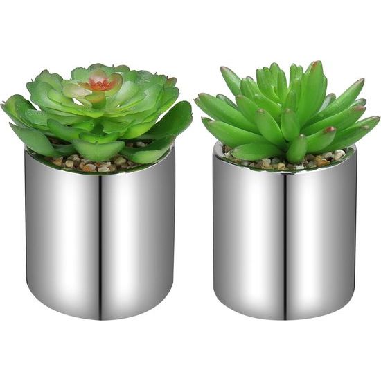 Set van 2 kunstplanten, vetplant, kunstmatige kamerplant, decoratieve plastic planten in keramische pot, decoratie voor badkamer, woonkamer, tafel, huis, balkon, kantoor