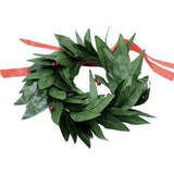 Plastic lauwerkrans voor mannen en vrouwen met rode strik en nepbes voor feestartikelen. Plastic lauwerkrans voor mannen en vrouwen met rode strik en nepbes voor feestartikelen.