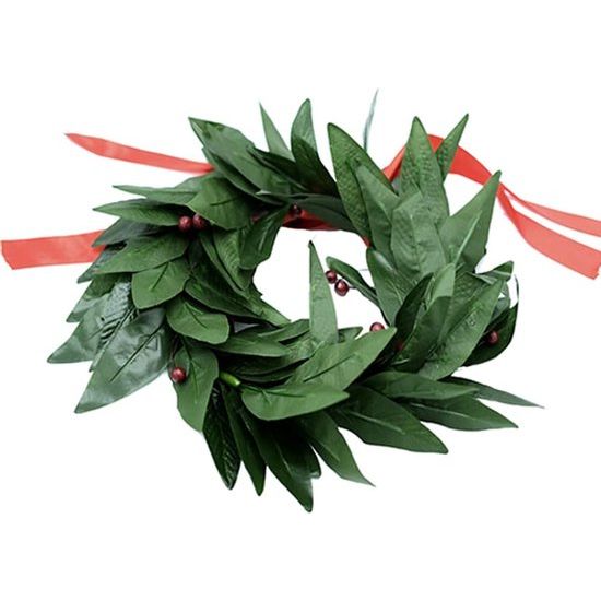 Plastic lauwerkrans voor mannen en vrouwen met rode strik en nepbes voor feestartikelen. Plastic lauwerkrans voor mannen en vrouwen met rode strik en nepbes voor feestartikelen.