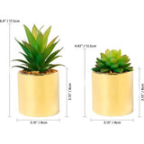 Kunstmatige succulente simulatiepot met potten 8 cm - Set van 2