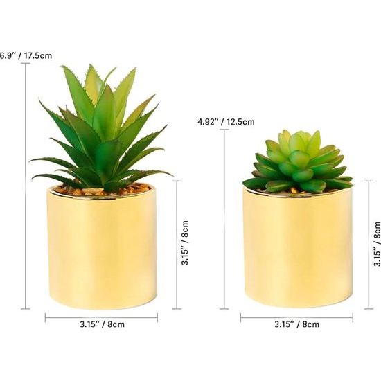 Kunstmatige succulente simulatiepot met potten 8 cm - Set van 2