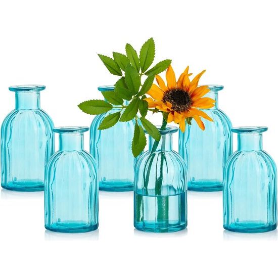 Kleine vazenset, glazen vaas, 6 stuks, mini-bloemenvaas, blauw, vintage, glas, rond, glazen vazen, flessenvaas, kleurrijk, klein geribbeld, tafelvaas, vazenset, glazen fles, decoratie voor