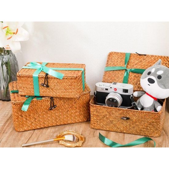 Opbergbox van zeegras, bastmand met deksel, opbergmanden plankmanden, rieten mand, wasmanden, make-up-organizer, keuken, woonkamer, bureau-opslag, natuurlijk materiaal, rotan mand