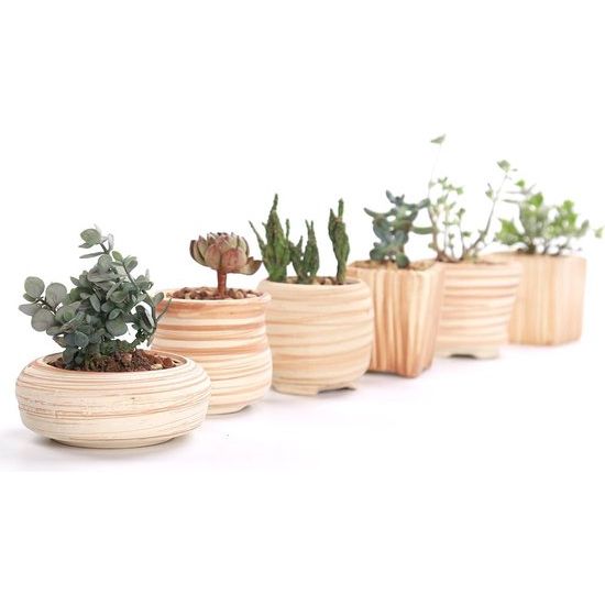 7,6 cm keramiek houtpatroon succulente pot cactus bloempot container plantenbak cadeau-idee set van 6