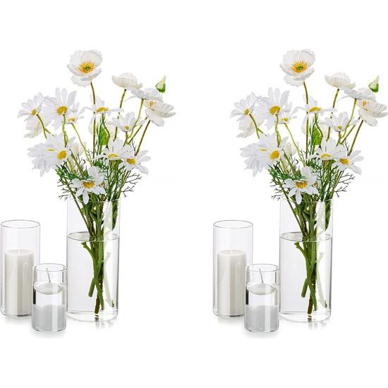 Decoratieve vaas, glazen cilinder, tafeldecoratie, set van 2 bloemen, moderne glazen vaas, rond, glazen cilinder, bloemenvaas, tulpenvaas, tafelvaas