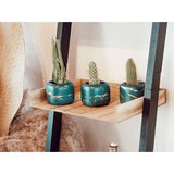 Keramische kruidenpotjes, set van 3, suiker- en zoutpotjes, in elegante marmerlook, eyecatcher, kruidenpotje met echt houten deksel en bamboe serveerlepel, incl. echt houten dienblad (smaragdgroen)