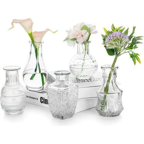 vaas voor bloemen set van 5 heldere vintage Bud vaas schattige mini-erwtenvaas voor tafeldecoratie interieurdecoratie bruiloft