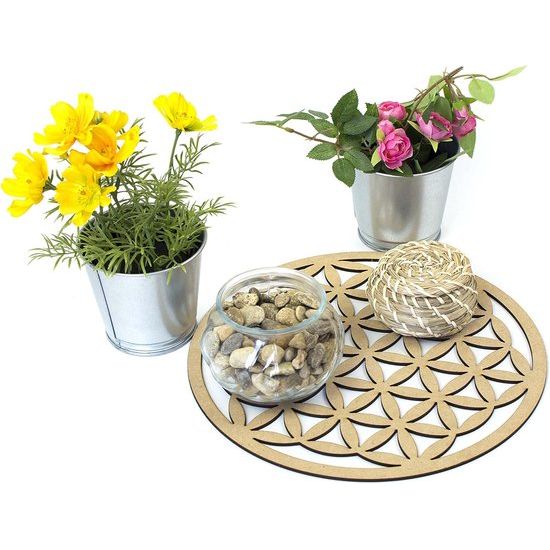 De Bloem des Levens is een van de meest bekende vormen van heilige geometrie