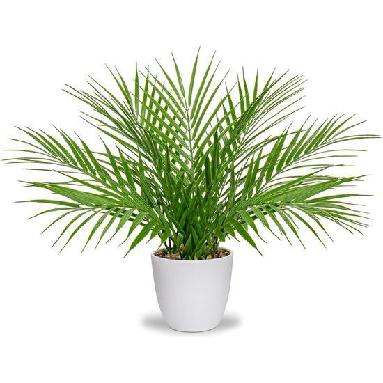 Kunstplanten voor gebruik binnenshuis: deze schattige kleine kunstplanten van palmbomen