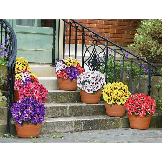 10 bundels kunstbloemen zoals echte balkon kunstbloemen buiten UV-bestendig weerbestendige kunstmatige balkonplanten balkonbloemen voor thuis vensterbank bruiloft decor (roze rood)