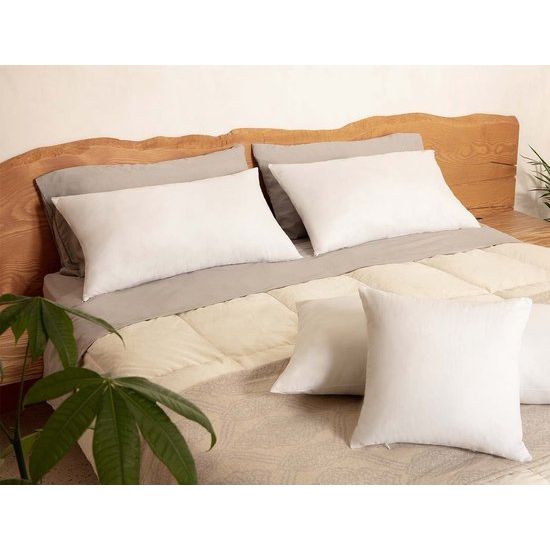 Kussen voor bed 40 x 70 cm Hoofdkussen Set van 2 binnenkussens hypoallergene anti-mijt zachte kussenvulling met kussensloop katoen en polyester. Afneembaar en wasbaar slaapkussen voor in huis/hotel