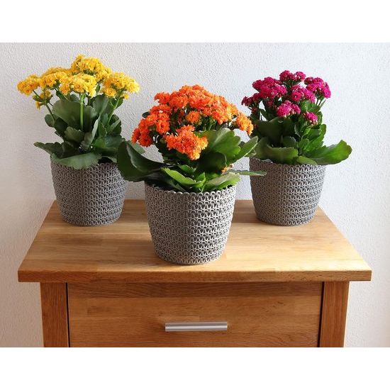 Bloempot, set van 3 x 14 cm, grijs, 30% houtgehalte, kunststof plantenpotten, plantenpot