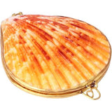 Creatieve halsketting met natuurlijke schelp, 6 cm, voor vrouwen en meisjes, willekeurige kleur