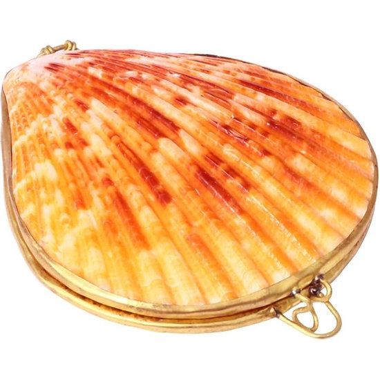 Creatieve halsketting met natuurlijke schelp, 6 cm, voor vrouwen en meisjes, willekeurige kleur