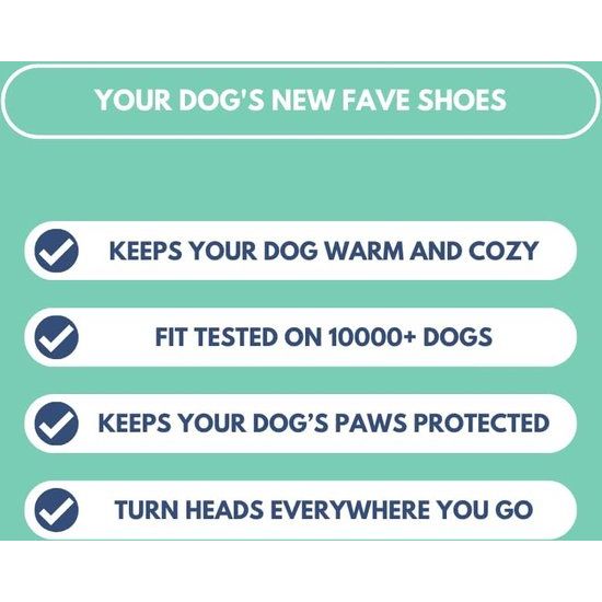 Hondenschoenen met warm asfalt, set van 4 pootbeschermers voor heet asfalt, ruw terrein en doornen, ontwerp voor brede poten, gemakkelijk aan te trekken, turquoise, C