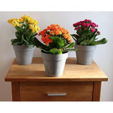 Bloempot Set 3 x 14 cm - lichtgrijs - betonlook - kunststof potten