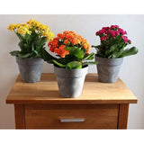 Bloempot Set 3 x 14 cm - donkergrijs - betonlook - kunststof potten