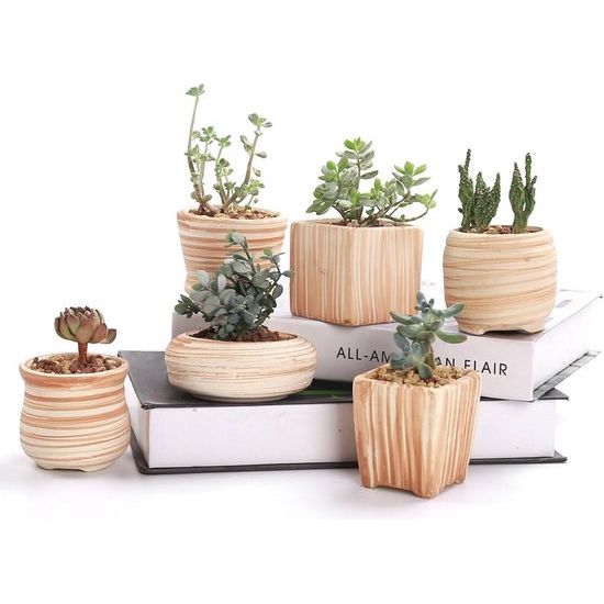 7,6 cm keramiek houtpatroon succulente pot cactus bloempot container plantenbak cadeau-idee set van 6