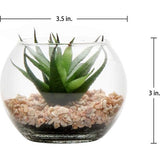 Kunstplant, vetplant, kamerplant, decoratieve woonkamer, badkamer, decoratieve vetplant, hoogte 8 cm, in glazen pot, set van 3