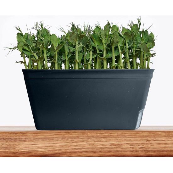 Lazy Planters Zelfwater gevende plantenpot, matzwart, set van 3